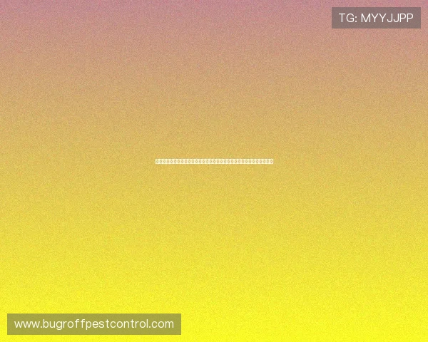 详细解析世界杯瑞典突尼斯比赛中的红黄牌规则及裁判判罚流程与注意事项